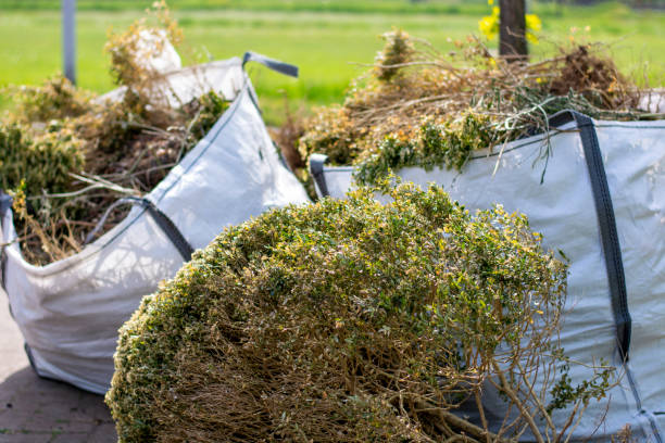 Best Attic Cleanout Services  in Buckeystown, MD